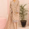 Bin Saeed Stitched 3 Piece Printed Lawn Vol-06 Collection'2024-SM-704-Skin