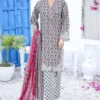 Bin Saeed Stitched 3 Piece Cutworkari Emb Lawn Vol-04 Collection'2024-SM-757-Grey