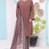Bin Saeed Stitched 3 Piece Printed Lawn Vol-10 Collection'2024-SM-804-Rust