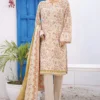 Bin Saeed Stitched 3 Piece Printed Lawn Vol-11 Collection'2024-SM-830-Skin
