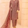 Bin Saeed Stitched 3 Piece Printed Lawn Vol-12 Collection'2024-SM-842-Maroon