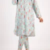 Printed Lawn Stitched 2 Piece (Shirt/Trouser)