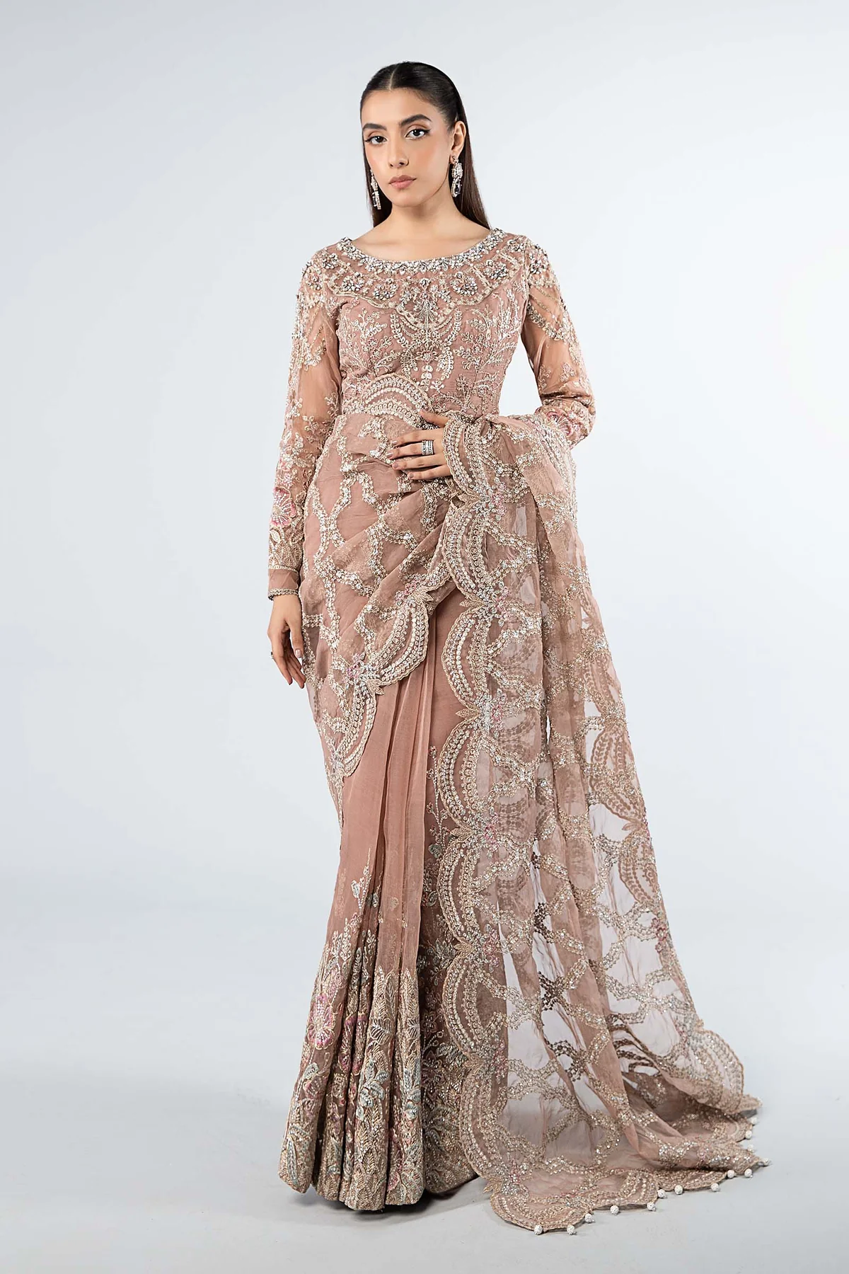 Embroidered Organza Saree | SF-W24-61