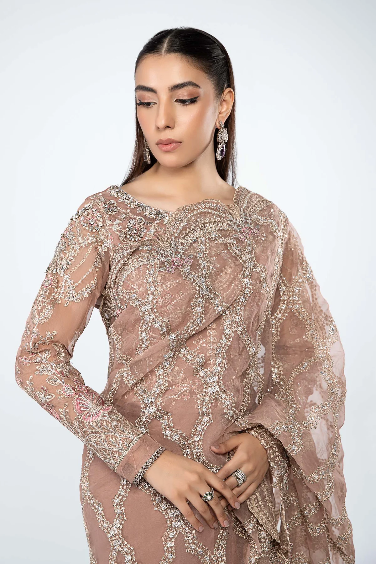 Embroidered Organza Saree | SF-W24-61 - Image 4