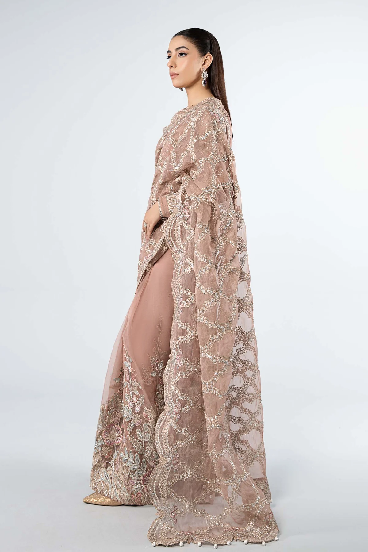 Embroidered Organza Saree | SF-W24-61 - Image 6