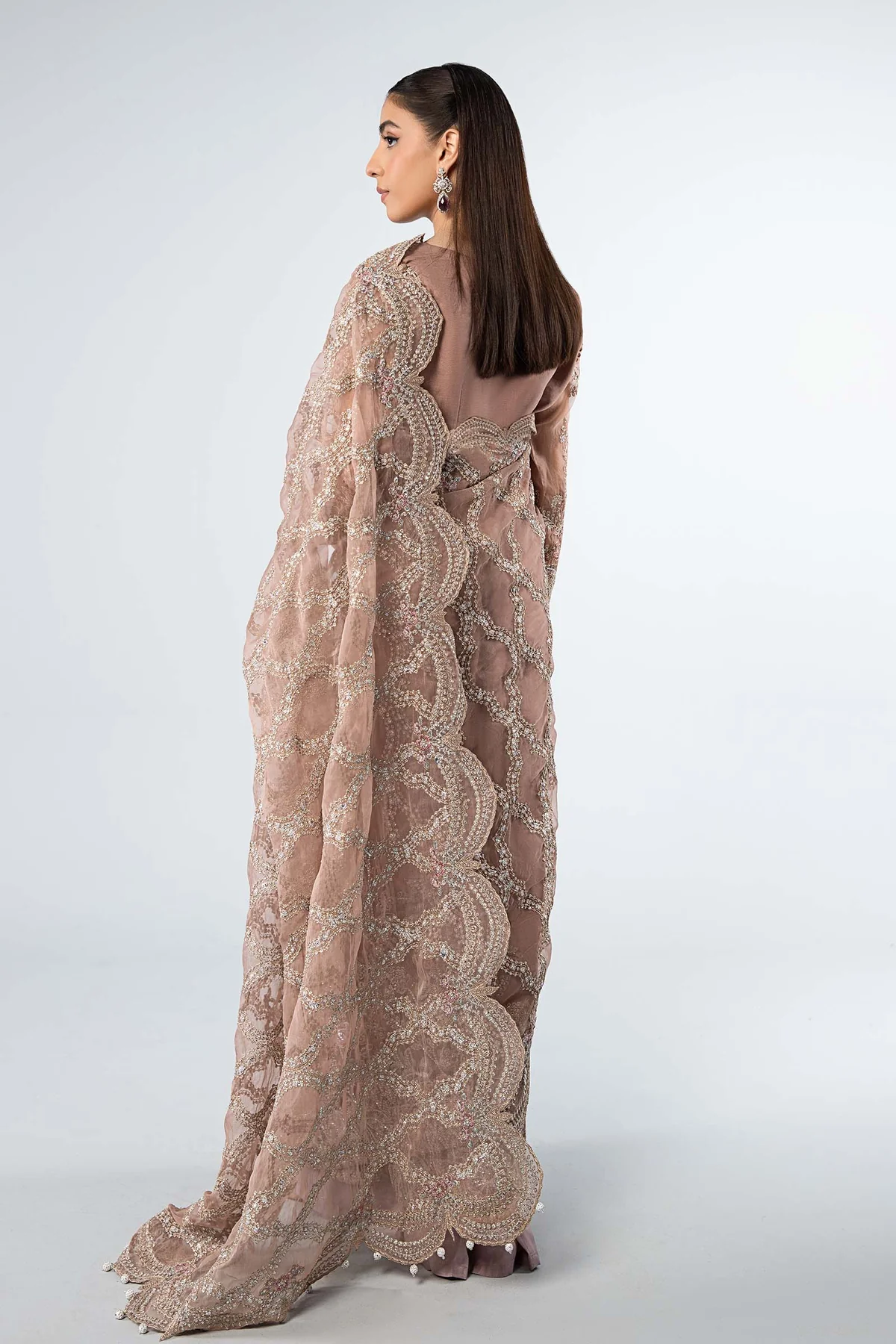 Embroidered Organza Saree | SF-W24-61 - Image 7