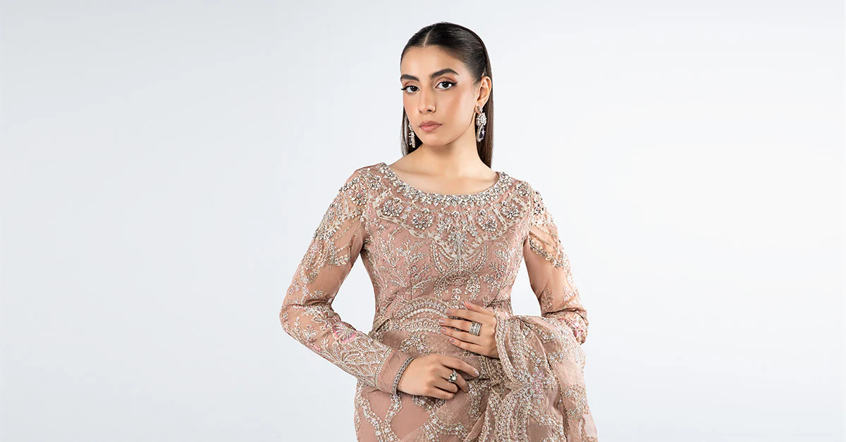 Embroidered Organza Saree | SF-W24-61 - Image 8