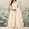 3 Piece Embroidered Organza Suit | DW-EF25-101