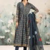 3 Piece Embroidered Lawn Suit | DW-EF25-54