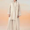 3 Piece Embroidered Cotton Net Suit | DW-EF25-92