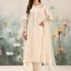 3 Piece Embroidered Lawn Suit | DW-EF25-95