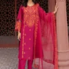 3 Piece Embroidered Lawn Suit | DW-EF25-95