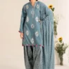 3 Piece Printed Lawn Suit | DW-EF25-96