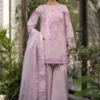 3 Piece Embroidered Lawn Suit | DW-EF25-99
