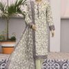Daily Wear by HZ Textiles Digital Printed Lawn Suit Unstitched 3 Piece PDW-104-A - Summer Collection