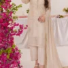 Solid Embroidered Chiffon Stitched 3 Piece