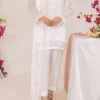 Solid Embroidered Chiffon Stitched 3 Piece