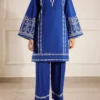 Solid Embroidered Slub Viscose Stitched 2 Piece (Shirt/Trouser)